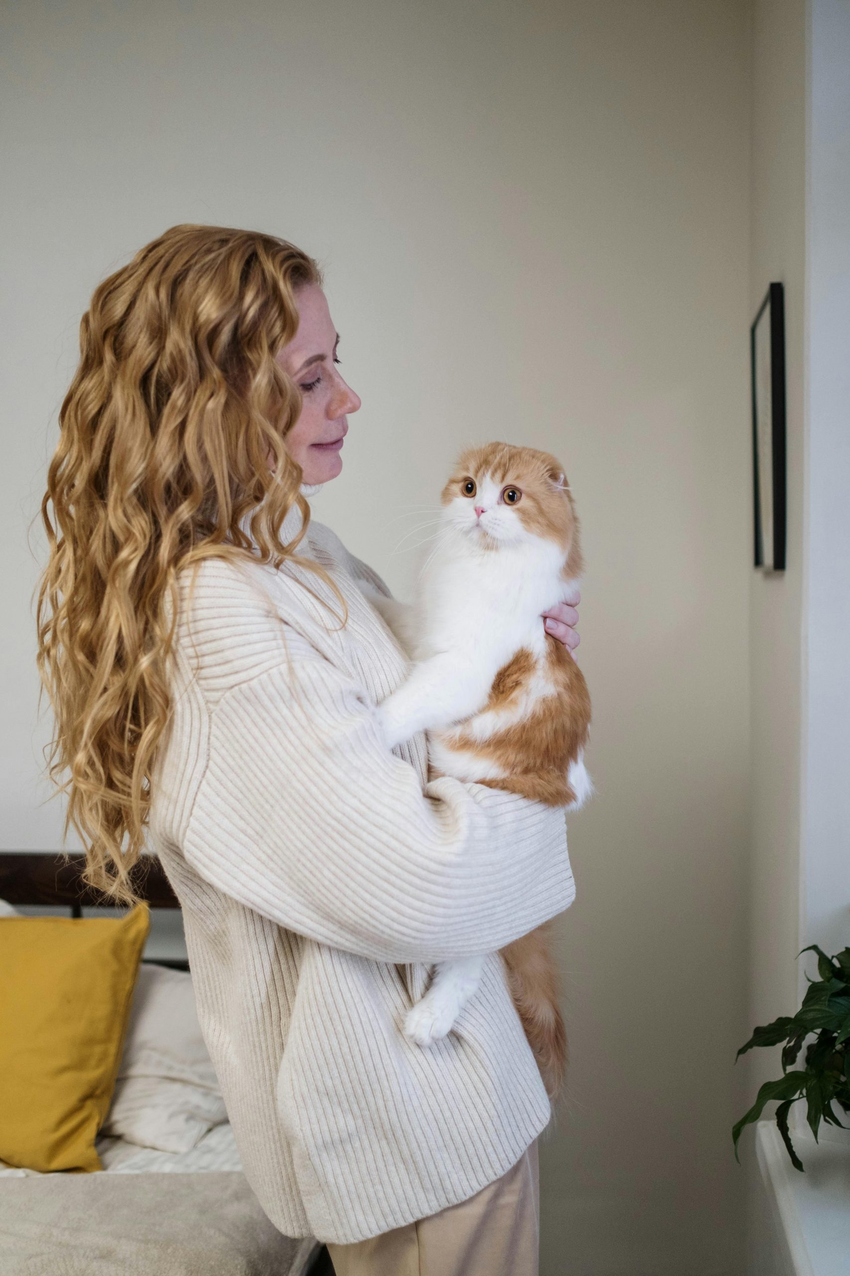3 accessoires Amazon pour calmer un chat stressé (testés et approuvés)